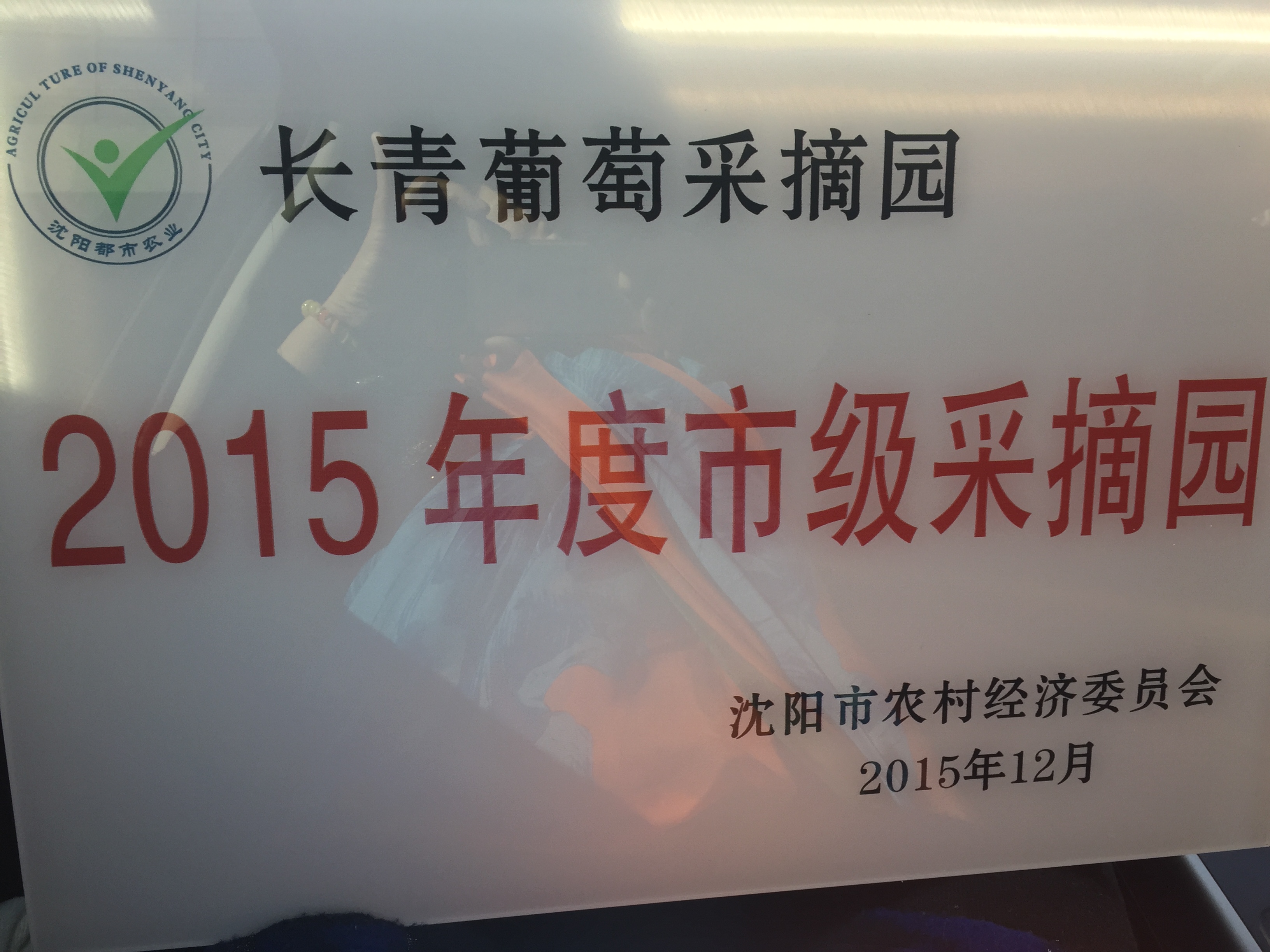 公司2015年被评为先进单位，荣获市级采摘园